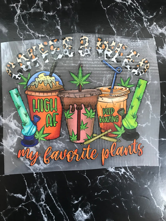 Favorite Plant